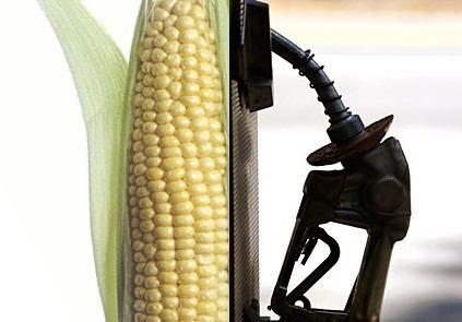 Biofuels: non food green energy commodity For example: corn for bioethanol Higher drought resistance Higher yield and efficiency Lower cost But corn production for ethanol will compete the limited