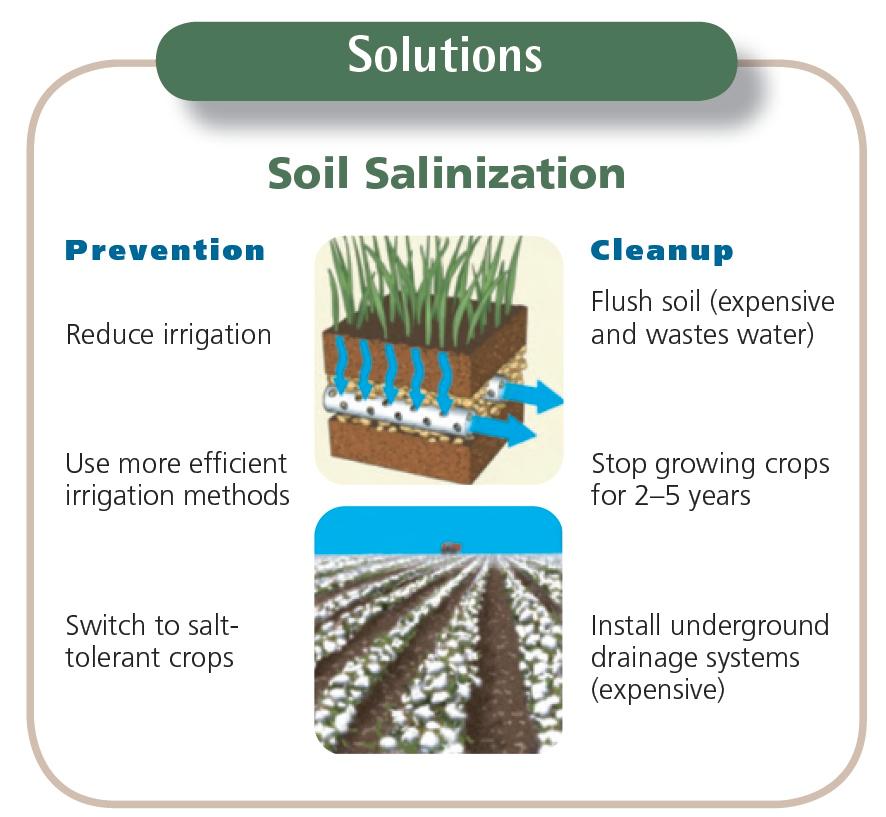 Ways to prevent soil