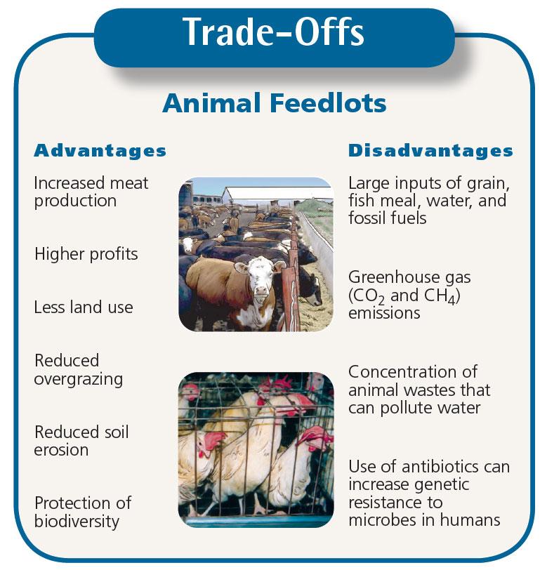 Animal feedlots and confined animal feeding