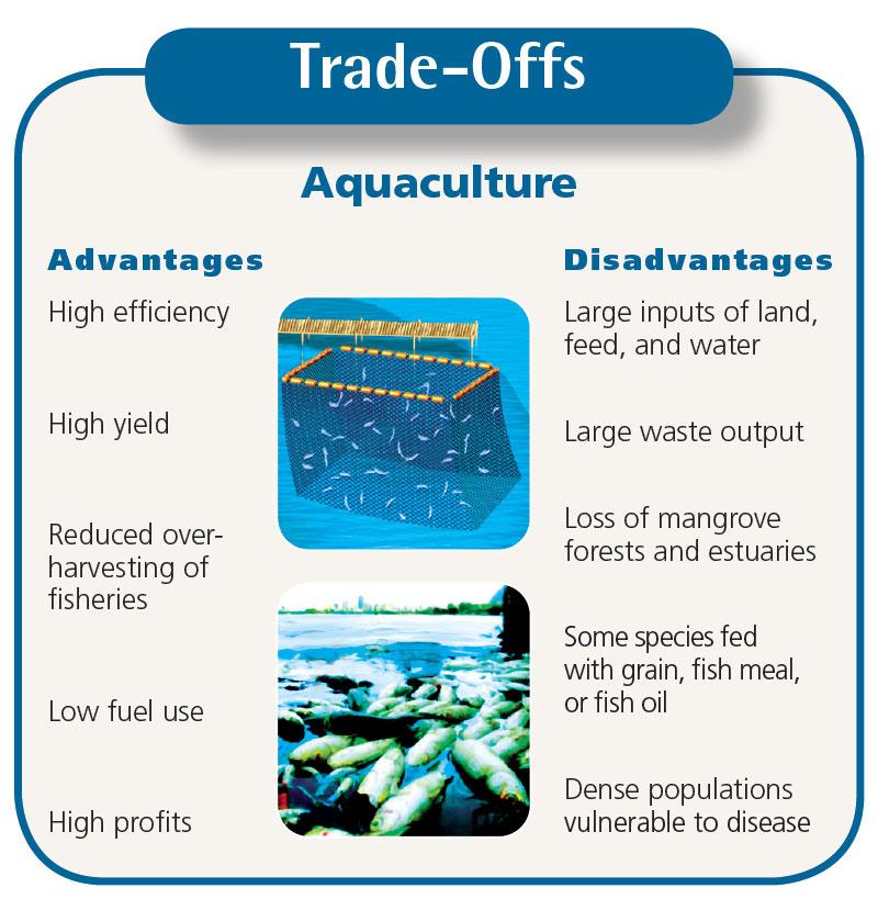 Aquaculture has