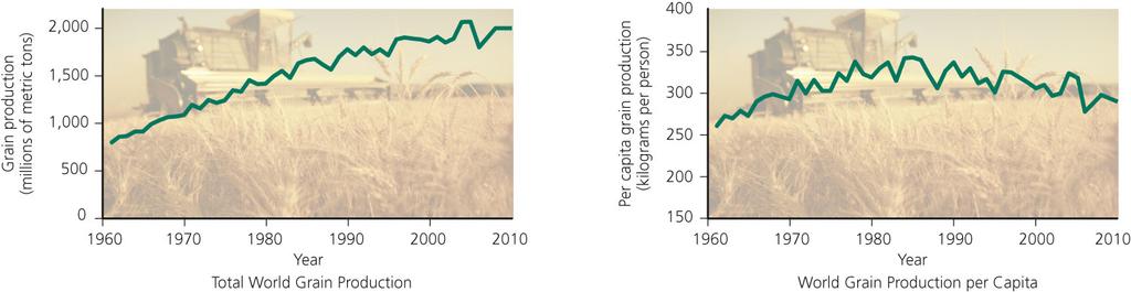 Growth in global grain production of