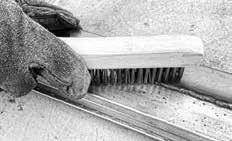 SCRATCH BRUSHES FOR CLEANING Weiler s scratch brush offering includes many block and handle types and sizes.