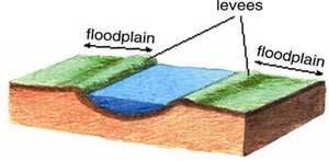 Flood Control - Artificial Levees Artificial levees are human-made walls of sand and mud built along