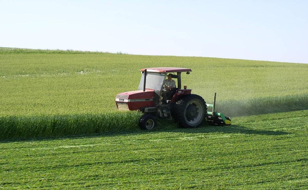 Helpful Tips for Terminating Cover Crops: Roller crimper Herbicide rate most glyphosate labels recommend increasing the rate of product as the cereal grain and weeds mature.