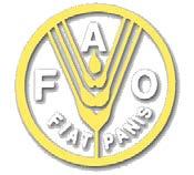 Update on FAO Seed Sector Activities in Africa African