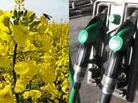 Performance of Biofuels Biodiesel At blends lower than 20% there is an increase in efficiency and improved fuel economy without an impact on
