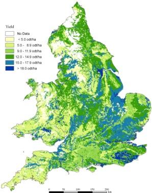 Impacts of expansion on alternative land-use Yield map for