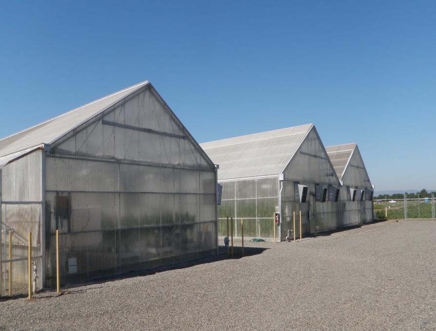 greenhouses: 30