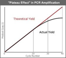 PCR artifacts and Plateau Effects The concentration of the target DNA should be balanced with the number of cycles in the reaction Using an elevated concentration of the target combined with the