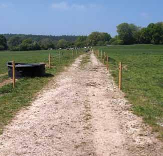 The maximum gradient for a track with a loose surface can be up to 12%, but ideally not more than 8% Tracks should not be in hollows or behind hedges where surfaces require more maintenance.