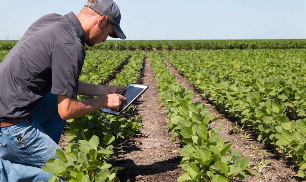 Digital agriculture: influences, trends, and opportunities among ag retailers As the demographic landscape within farming communities change, Agriculture Retailers will need to reexamine the
