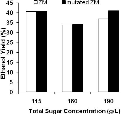 4 The Effect of Total Sugar Concentration on : (a) Ethanol Concentration (b) Ethanol Yield (c) Ethanol Productivity In fermentation, productivity is defined as grams ethanol product/liter/hours.