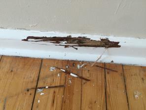 Defects recorded during inspection Interior - Bedroom 2