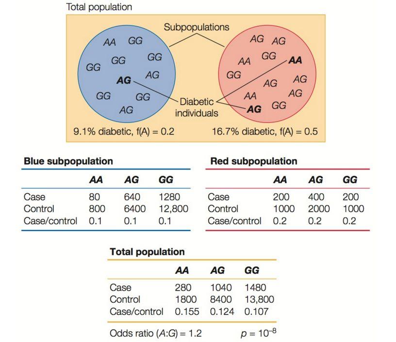 - - No association between subpopulations makes it appear that there is a correlation between genotype