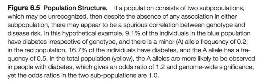 diabetes has a minor allele frequency (A allele) Total population results in an odds ratio of 1.