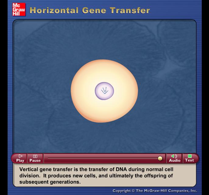 Ø Crossing over between sister chromatids during meiosis Ø Fusion of gametes Slide No.