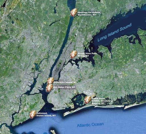 Oyster Reef Locations 9 tons of shell placed