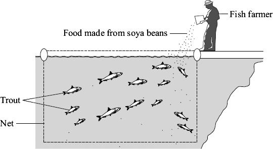 Q13. A fish farmer keeps trout in a large net in a lake. The fish farmer feeds the trout on food made from soya beans.