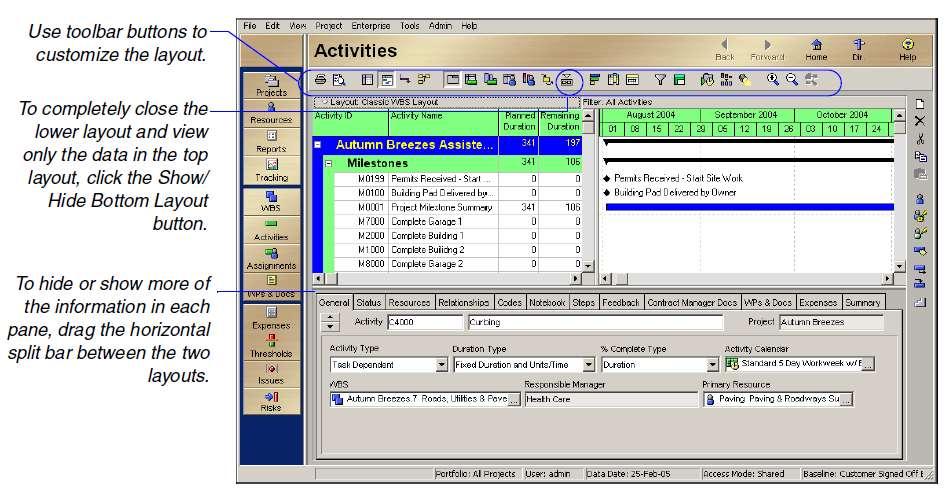 In the sample layout above, the top part of the window shows activity data in a Gantt Chart, while the lower part displays the