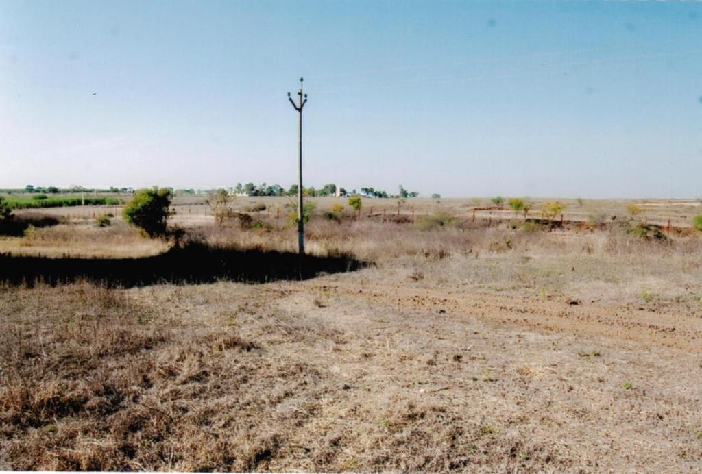 EIA REPORT: Chapter II Figure 2.3: Photograph of proposed compost site 2.4.2 Molasses Molasses is the chief raw material for the proposed project.