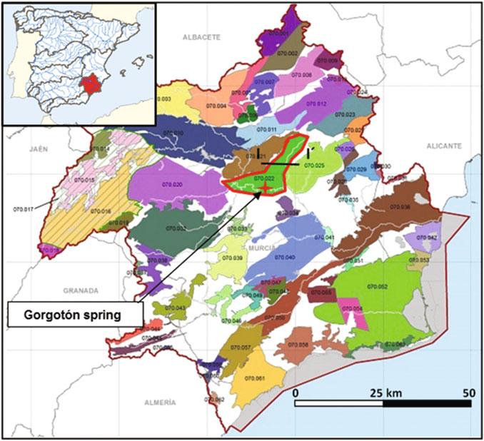 10 I. Alhama et al. recharges the aquifer in some stretches, while in others the discharge occurs from the aquifer, as is the case of the Gorgotón spring area.