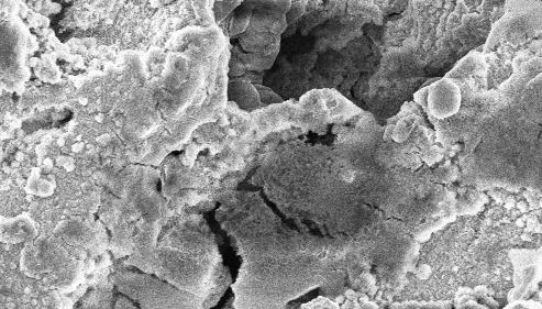 6 Scanning Electron Microscopy: The SEM images of mild steel surfaces are given figure 8(a-c).