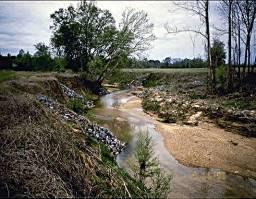 newer data (2-4 years old) Rapidly developing watersheds may be