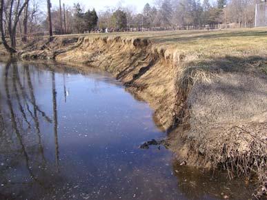 More than 200 stormwater outfalls into the creek Stormwater runoff is