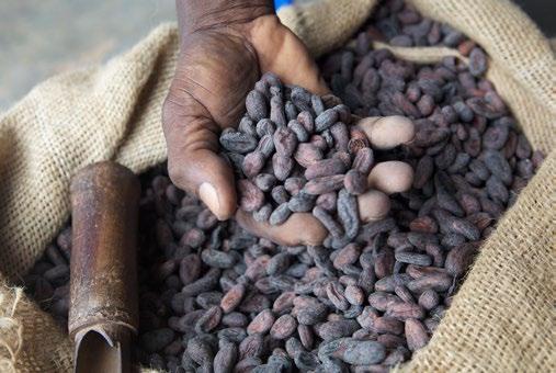 IFC COCOA PROJECT IN CENTRAL AFRICA CONTEXT AND OPERATIONAL CHALLENGE The cocoa supply chain in Central Africa is facing significant challenges due to the lack of reliable information on cooperative