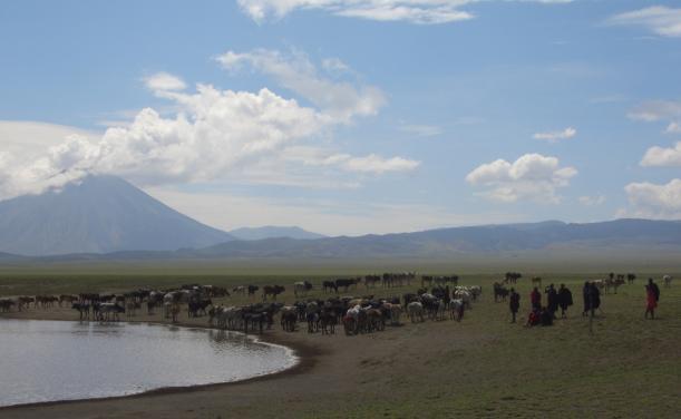 Success story 4: Massai Pastral system Levels of biodiversity and wildlife have been