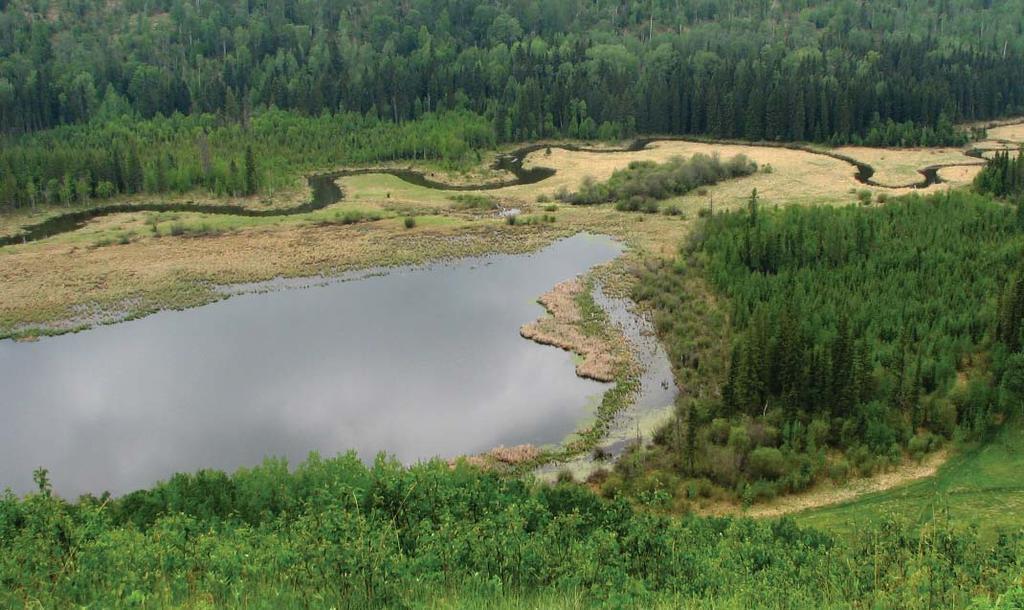BATTLE LAKE WATERSHED DEVELOPMENT PLANNING PILOT PROJECT Background Battle Lake is located in central Alberta about 60 kilometres (km) southwest of Edmonton, Alberta.