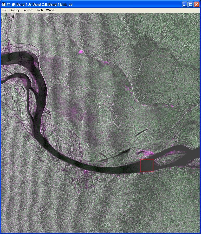 PALSAR dualpol mode over the Amazon river floodplain (ortho path) Alluvial forest HH : -7.7 db HV : -16 db (J-ERS -6.8 db) Terra firme forest HH : -8.7 db HV : -16.2 db (J-ERS -6.