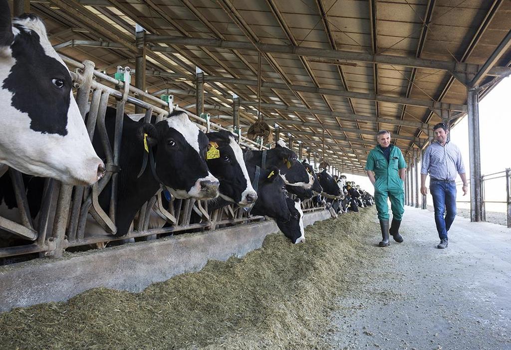 STUDY GOAL TO IDENTIFY SPECIFIC DAIRY PRODUCTION MEASURES