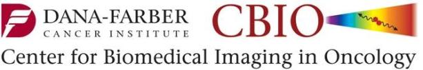 1 Case Studies of Imaging Biomarkers - Description and requirements for standardized acquisition in multicenter trials: DCE-MRI,
