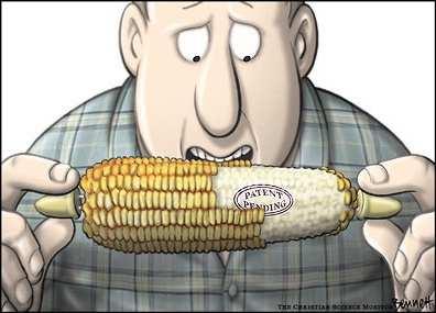 genetically modified food concerns and controversies: o environmental and ecological issues (regarding crops) o economic concerns (by the fact these organisms are subject to intellectual property