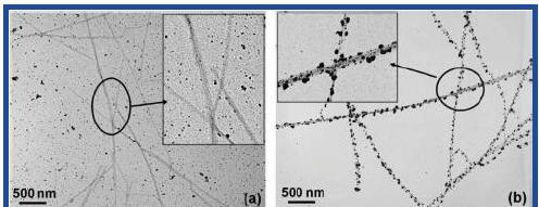 Nanoparticle Decoration of CNC s Emulsion deposition of nanoparticles onto CNC s Metals: Ag, Au, Cu, Pd, etc.