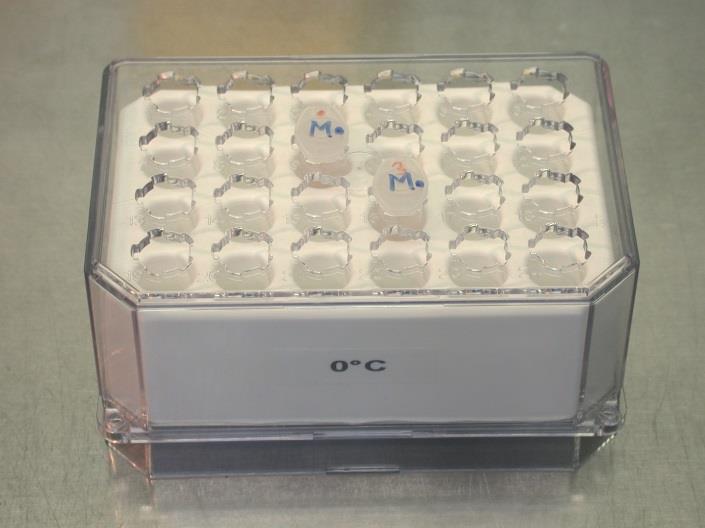 2) When starting the experiment, place the vessel with the gel in a cool rack in the laminar flow hood. 3) Remove the µ-slide Angiogenesis from the sterile packing and place it on a µ-slide rack.