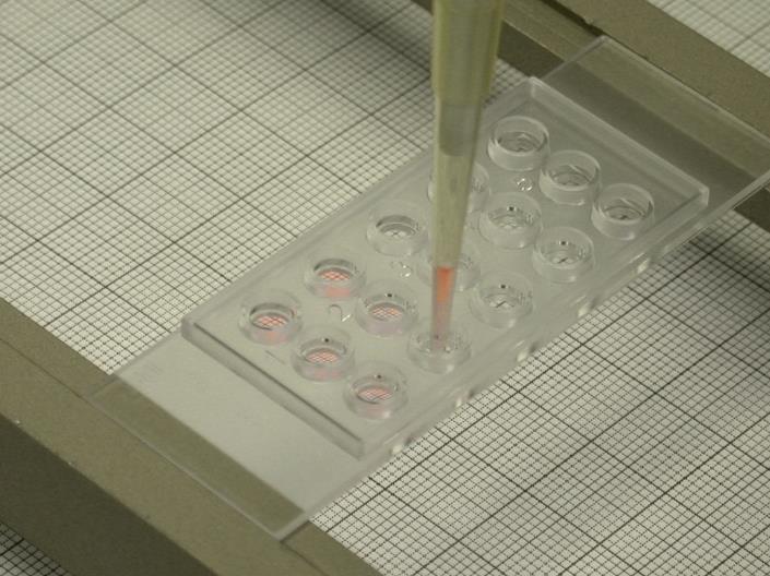 Pipetting Tips To avoid air bubbles, make three up and down movements (10 µl) with the pipet while leaving the tip in the gel. Then transfer 10 µl aliquots to the wells.