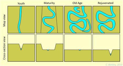 Often straightens the river, leading to faster water flow and more soil erosion less sediment