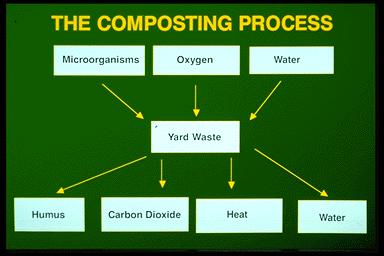 The natural process of decomposition occurs without any