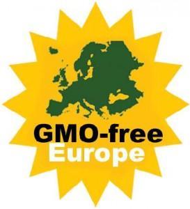 contaminants GM food food safety vs.