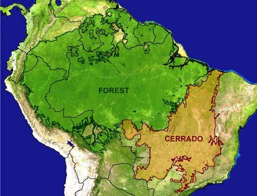 60% of Cerrado land has been cut and converted to Agriculture, and 10% of the Forest