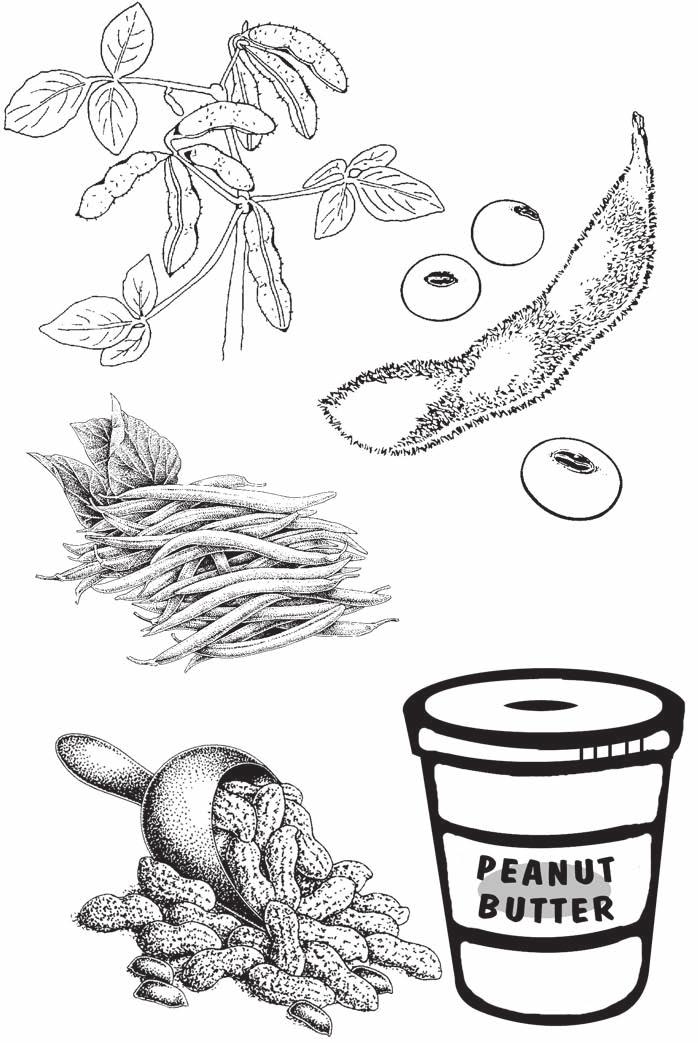 L L is for legume. Legumes are good for the soil and good for you.