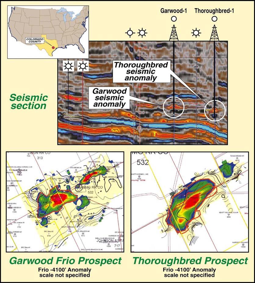 Low Risk Drilling Opportunities Everest Resource Company Shallow Gas - Onshore Texas Discovery Target Energy 25% WI Kant-1 Drilled December 06 P&A d with sub-commercial gas shows Thoroughbred-1 (1.