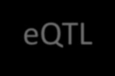 eqtl and QTL