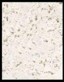 Coral Finish Coral finish is similar to Plaster of Paris Finish and Gypsum Plaster Finish.