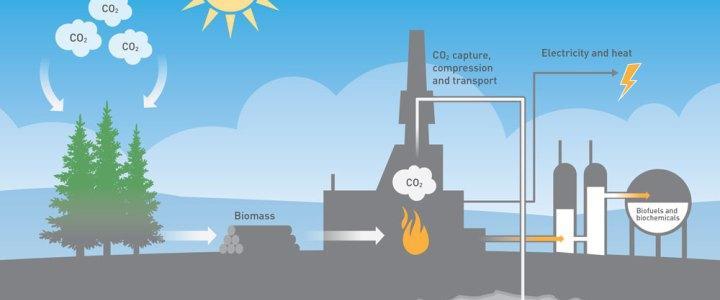 The Carbon Cycle https://www.