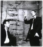 Rule 1953 Watson and Crick
