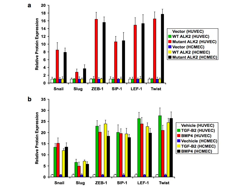 Supplementary Figure 2 Supplementary Figure 2 Expression analysis of EndMT-inducing transcription factors.