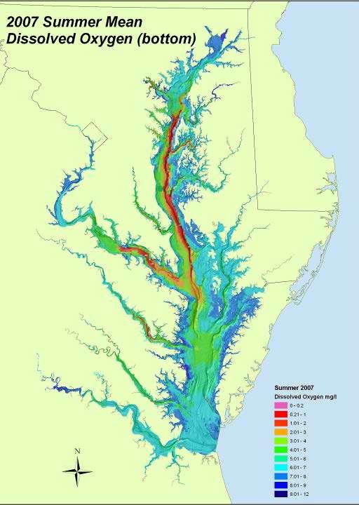 Low to no dissolved oxygen in the Bay and tidal rivers is